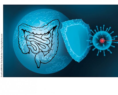 Эпидемия COVID-19: двойной удар по микробиоте (Обзор литературы)